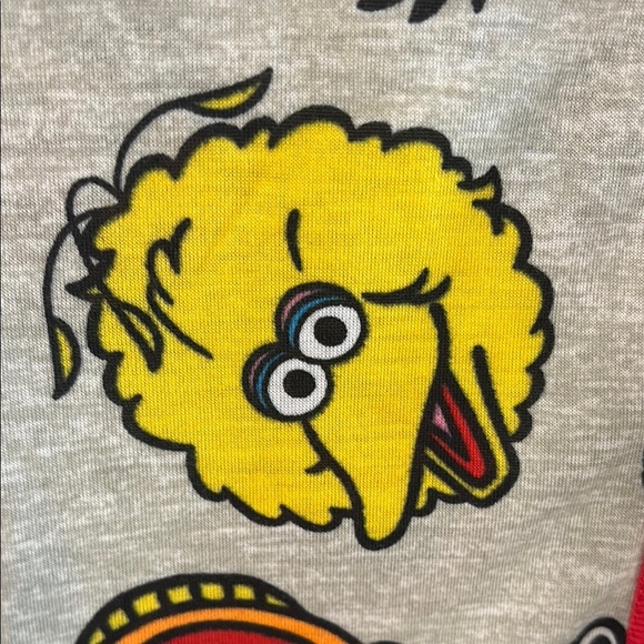 Sesame Street Pajamas NWT Size: Small - Picture 5 of 14